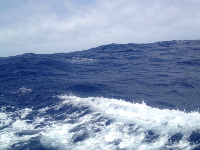 Les vagues sont belles et grosses
