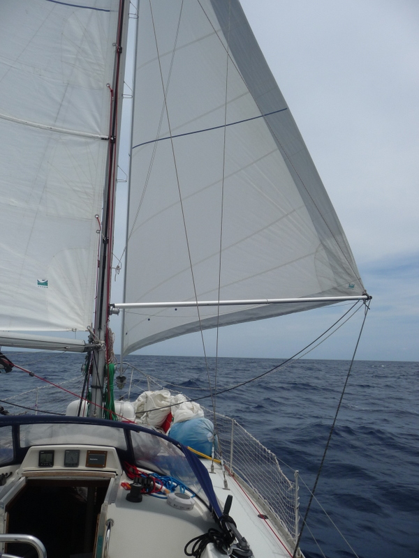 Les voiles en ciseaux ... toujours un plaisir.