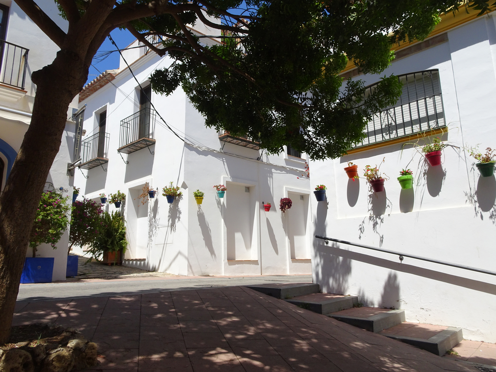 Place à l'ombre d'un arbre. Sur les facades blanches, des pots de fleurs sont accrochés et semblent former une guirlande