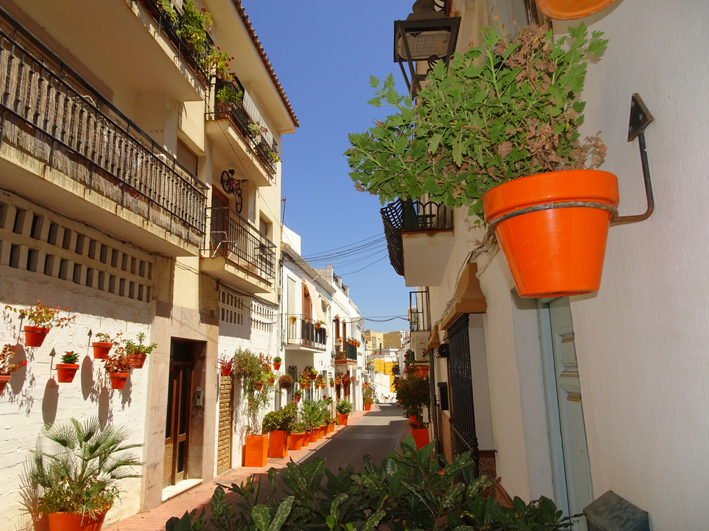 alignement de pots de fleur oranges (les pots)